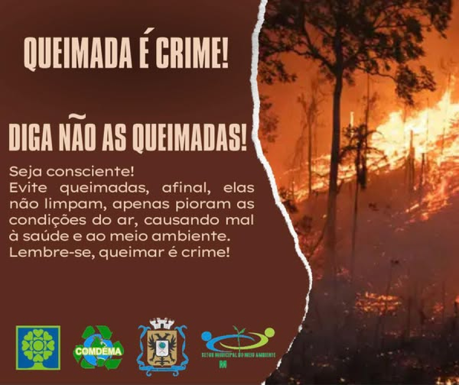 Sua atitude faz a diferença: queimadas, apague essa ideia!