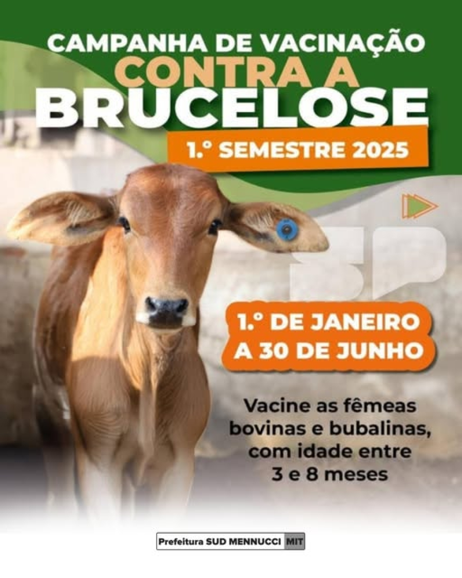 Vacinação contra a Brucelose 