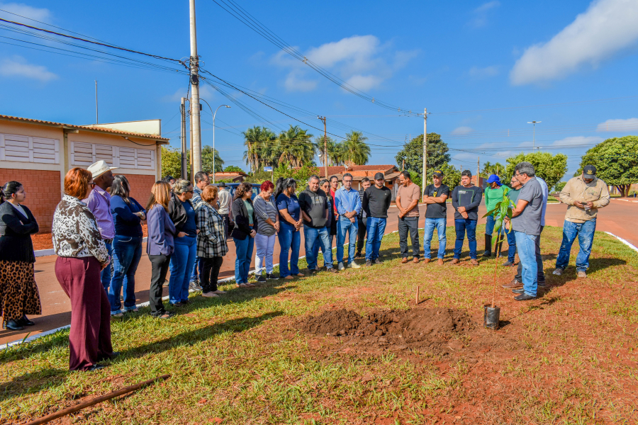 Prefeitura de Selvíria planta mudas em comemoração ao Dia Mundial do Meio Ambiente