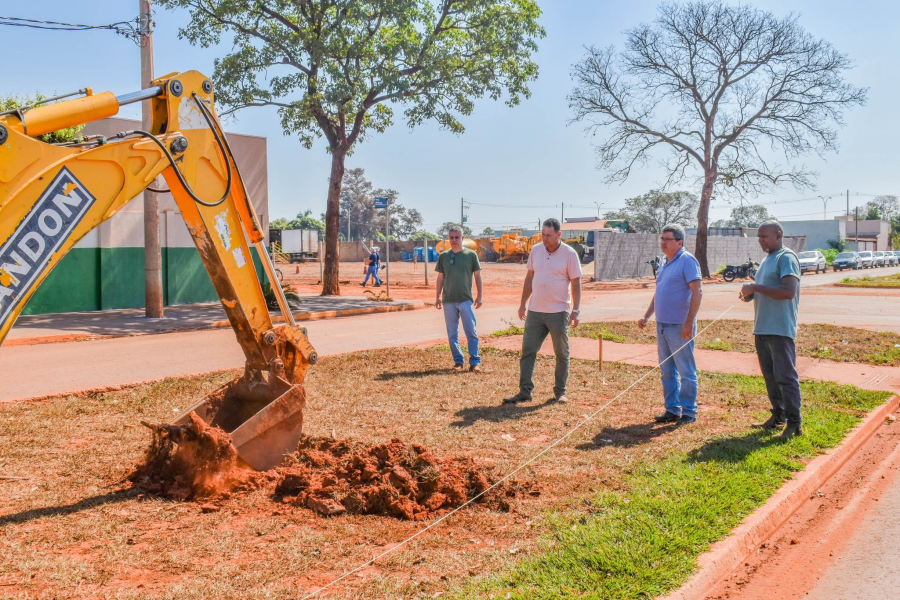 Prefeitura prepara plantio de espécies ornamentais em duas avenidas de Selvíria