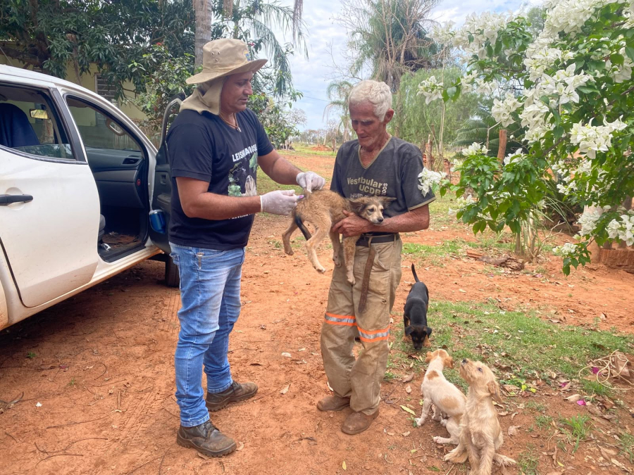 Mais de 450 cães e gatos já foram vacinados contra a raiva durante campanha em Selvíria